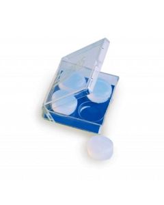 Zoggs Silicon Putty Ear Plugs at Proswimwear