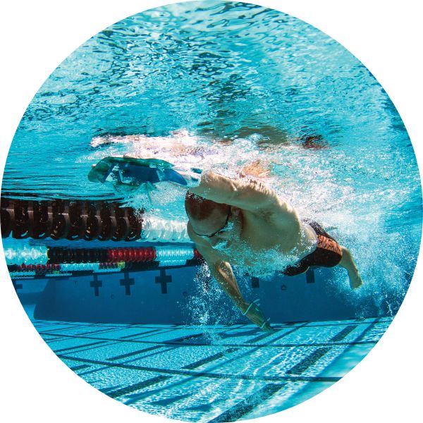 dolfin training aids