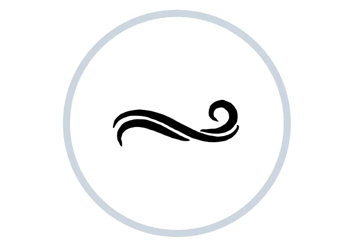primo icon