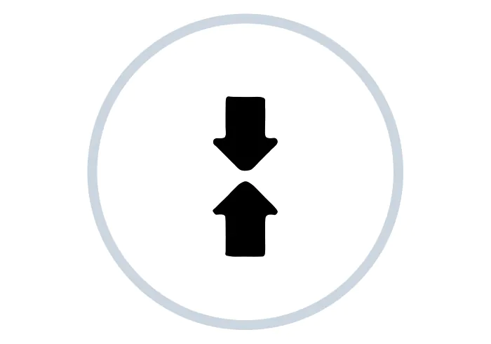 primo icon