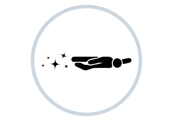 primo icon