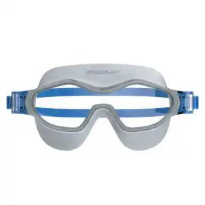 Speedo Hydrosity Mask – Grey / Clear